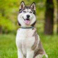 8a79eb25c90c11d6c4affbb9cc21edc9d586c0ff