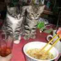 3e4551e0b2ad2caa225e55c665da04c6f41c3b9f