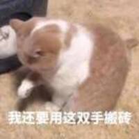 05490dfb6c65a7d3f175cfb42e27c3f32562f7b8