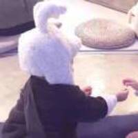 067cefd2633847430e3104e4bd4272776f67a68f