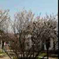 F93f9238ac8a79e6e75f6b93aed391cc5d091d09