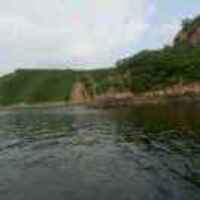 586397c96a32200a6cfed6728add708d50296165