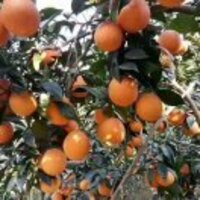 194b905c6c37bdaa138550f459b5b7e436097269