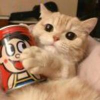 795c432d5da437f71a47eac52491e4b86f57888e