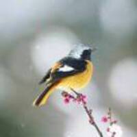 5f56ac6a56dee5de5824d5305d4fd3f9819213a8