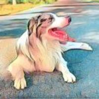 F157a5a2c6411cc6afd9a53907adc77d1173ae1e