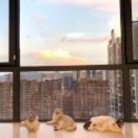 9b074bcce60cf2b578a2b98e615e2861e0ef3ab1