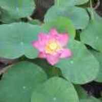 964b3eb207b2855264b36ec0cfb74e0a53b356f4