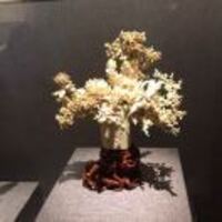 689867bed5a9b44cdf29250c1610cb2b30b1021d