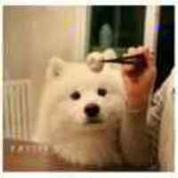 6d959ffe36e4018f8e1df9d72839d6e26470661b