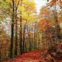 D1ba4cb1f3d5e7b3af986768cd9f5b19bb2df037