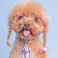 Ef92588016e62ca29909187d7e7f38009042457e