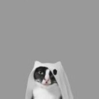 52e611494bbdffe1feddb1496b24b6e4af83012d