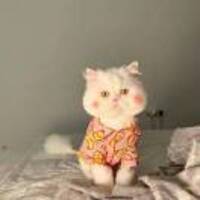 4c7f527602f360c232e39b6e243a374a69193a45