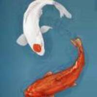 3b30c47de40b0c36d1a6f7a7e6eb18132d38b5c1