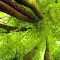 E8f3fc0bd41a71dbf34ca5ff3fb9faebd225e6d7