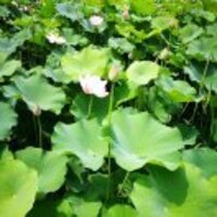 01eb5c44c10ba11664f3919d32cf744c97dadbcd