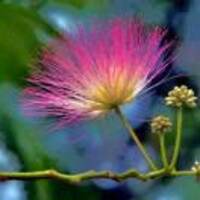 9234e5ee782acfefc097a054d62da4da088e19ef