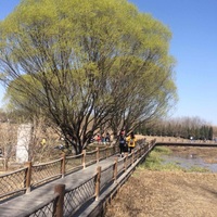 D6d50ea659f46cdd5f2db98e28fc8653d14e6827