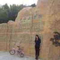 C11cb736464608831a312ac054f9c1b839fa6f87