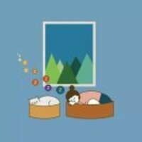 7cf7d0b826b9022523c0ca31b8a5bb3bcfad3bc7