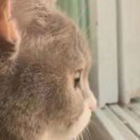 3c1b5925c9ed9409082a9553560a06b6373aff77