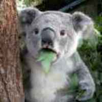 9925ad428cf631c108d3c054b851ce7ac25bc289