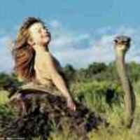 E7750f5d8f1b1dae77642fac2c2f8f84e9de3434