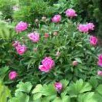 6b8bef4636a2d995f2add120a5a15185e827168c