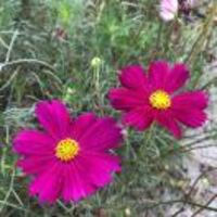 4999f3703eaf7b198d1a52932d6880cba6a100c0