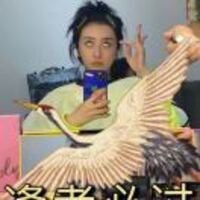 C94aae192008389c3037cba7f6922e7afc3ebcc0