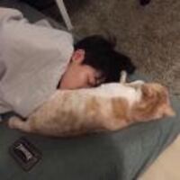 8ac95a29866287c4bde9f50019ede96aff6da6f7