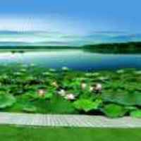 3d862e484a1ec6d97e6ea01ffe42f4a13a6ff5dd