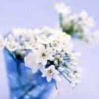 684df221d16966f5608c634c8e1e651a057dacd1