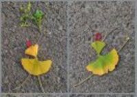 3aa701948853f68bf2b5554a9c8d8f774e57dc7f