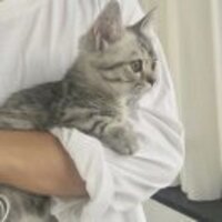 8a5772cef29c11720cca255bf2bffcafabb240be