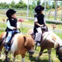 7b7e3ef79f66d2bef312e05f059d2f41d4b67991