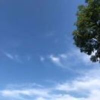 8d547825d65e68ee32c16cbb07a38638ca4c8e37