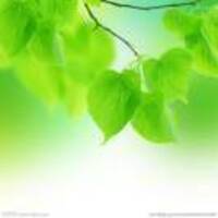 F4f9754164556a8f54c0129f4f8006220f54a976