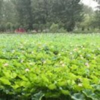 D82672da937f3149d59bdabbd28bafbed6ba0dc2