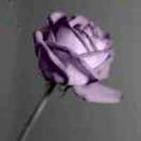 Ab19478d796058457e64c6e0a474a3de30073b31