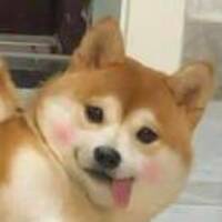 Bb61dca9d84457d0918f9256cc421366cb17335b