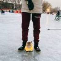 0580f4bc444b55c78216e644fb2bbe490358ce94