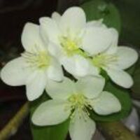 E0b5088fc71d026111bd77d72669ec2188af174a