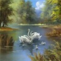 40ceb3dc088c7aff0d7f1ffd57ffa8bf66fd0c98