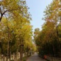 A8bdb683f030789ecbcb291a3db0c4612e2042f6