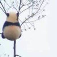 180c06e5ccd77fca4ea9dc4f288ff17cc6e474ab