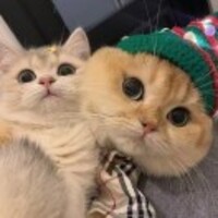 9ddd257ce099e6a9c9c7dd366720db412694c2a0