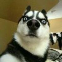 D7798ea2647710f5ad4b64274b2ff924cf1a184d