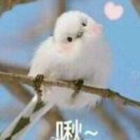 D904217dab6c64083bf5465c74197ac49bd2c4fd